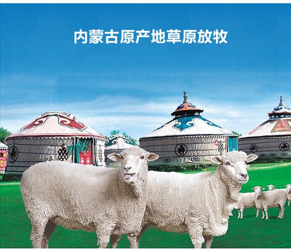 包装 售卖方式:单品 产地:中国大陆 省份:内蒙古自治区 城市:包头市