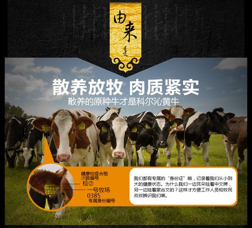 干 蒙食汇内蒙古风干牛肉干500g 手撕风干牛肉干原味香辣特产 包头