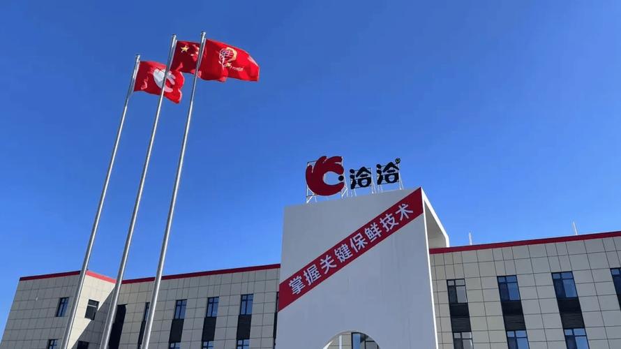洽洽第11座工厂来了,包头新厂竣工投产!